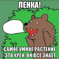 Ленка! Самое умное растение -это хрен, он всё знает