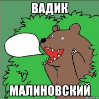 Вадик малиновский