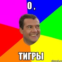 о , тигры