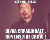 Моё лицо . когда Щука спрашивает , почему я не сплю !