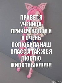 привет я ученица причем новоя и я очень полюбила наш класс а так же я люблю животных!!!!!!!!