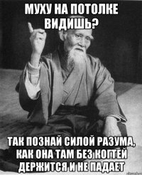 МУХУ НА ПОТОЛКЕ ВИДИШЬ? ТАК ПОЗНАЙ СИЛОЙ РАЗУМА, КАК ОНА ТАМ БЕЗ КОГТЕЙ ДЕРЖИТСЯ И НЕ ПАДАЕТ