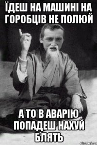 їдеш на машині на горобців не полюй а то в аварію попадеш нахуй блять