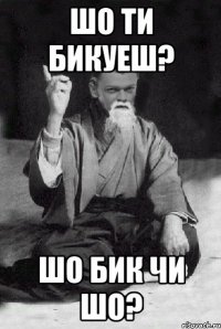 Шо ти бикуеш? шо бик чи шо?