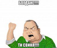 Богдане!!!! ти свиня!!!!