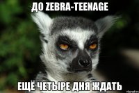 До Zebra-TeenAge ещё четыре дня ждать