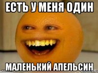 Есть у меня один маленький апельсин