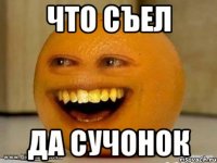 Что съел да сучонок