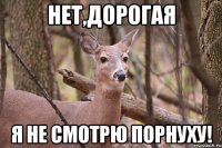 Нет,дорогая Я не смотрю порнуху!