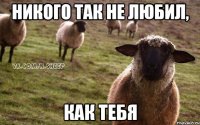 Никого так не любил, как тебя