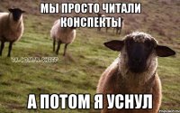 МЫ ПРОСТО ЧИТАЛИ КОНСПЕКТЫ А ПОТОМ Я УСНУЛ