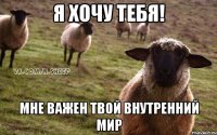 Я хочу тебя! Мне важен твой внутренний мир