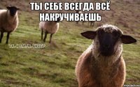 Ты себе всегда всё накручиваешь 