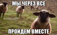 мы через все пройдем вместе