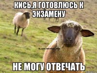 Кись,я готовлюсь к экзамену Не могу отвечать