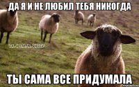 да я и не любил тебя никогда ты сама все придумала