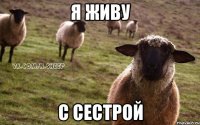 я живу с сестрой