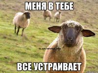 меня в тебе все устраивает