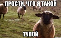 прости, что я такой тупой