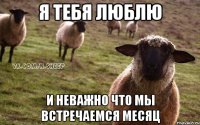 я тебя люблю и неважно что мы встречаемся месяц