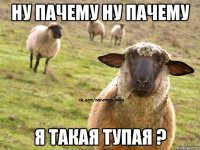 Ну пачему Ну пачему Я такая тупая ?