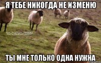 я тебе никогда не изменю ты мне только одна нужна