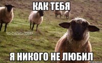 как тебя я никого не любил