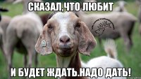 сказал,что любит и будет ждать.надо дать!