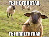 ты не толстая, ты аппетитная