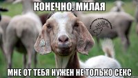 конечно, милая мне от тебя нужен не только секс