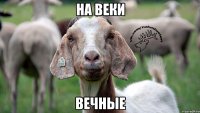 На веки вечные