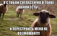 Я с тобой согласен!но я такое какой есть! и перестроить меня не возможно!!!!