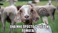  она мне просто с учёбой помогает