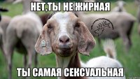 нет,ты не жирная ты самая сексуальная