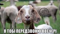  я тобі передзвоню ввечері