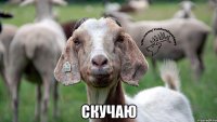  скучаю