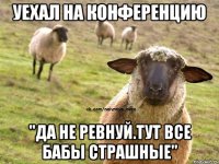 уехал на конференцию "да не ревнуй.тут все бабы страшные"