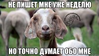 не пишет мне уже неделю но точно думает обо мне