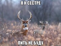 Я к сестре Пить не буду