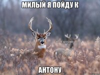 Милый я пойду к Антону