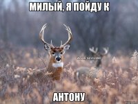 Милый, я пойду к Антону