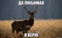 да любимая я верю