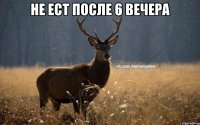 Не ест после 6 вечера 