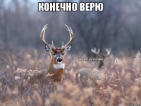 конечно верю 