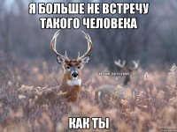 Я больше не встречу такого человека как ты