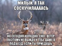 Милый, я так соскучилаааась Но сегодня холодно, снег, ветер, поэтому не выйду к тебе даже в подъезд, если ты приедешь.