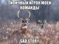 Типичный игрок моей команды Sad story