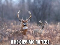  я не скучаю по тебе