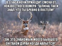 В 3 часа ночи приходит смска от неизвестного номера :"Шлюха, так и знал, что ты бревно в постели!" "Ой, это знакомый моего бывшего, он такой дурак когда напьется!"