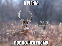 В МГЮА Все по-честному